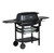 PK Grills The All New Original PK300AF Grill & Smoker - Coal, black outdoor grill with a closed lid, side trays, and wheels for mobility.