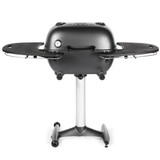 PK Grills The PK360 Grill & Smoker - Graphite, a black portable charcoal grill with side shelves and a temperature gauge, on a white background.